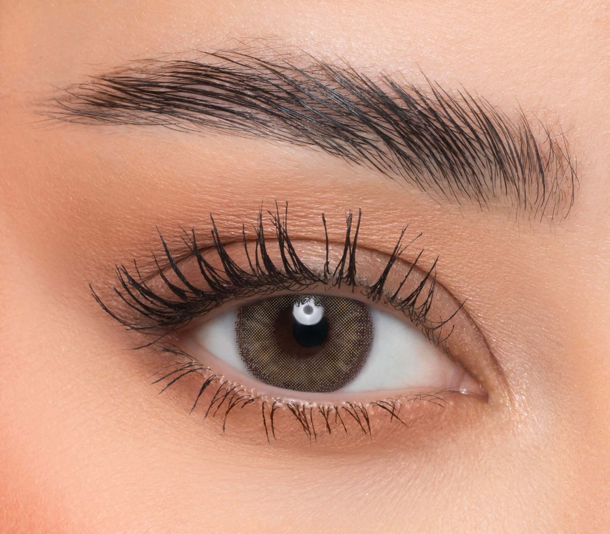 Diamond Agate Brown Bella Contact Lenses
